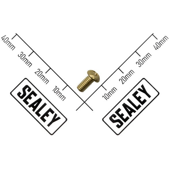 Sealey Carbon Brush Holder Screw (B)