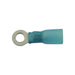 Connect Blue Heat Shrink Ring Terminal 4.0mm 25pc 30200 Tool Connection - Town Tools 