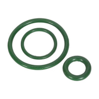 Sealey Vitonï Seal Kit for SCSG02 & SCSG03 SCSGRK