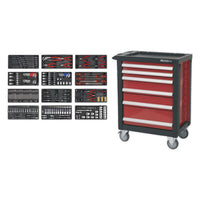 Sealey Premier Premier Rollcab 6 Drawer with 298pc Tool Kit AP2406TBTC01