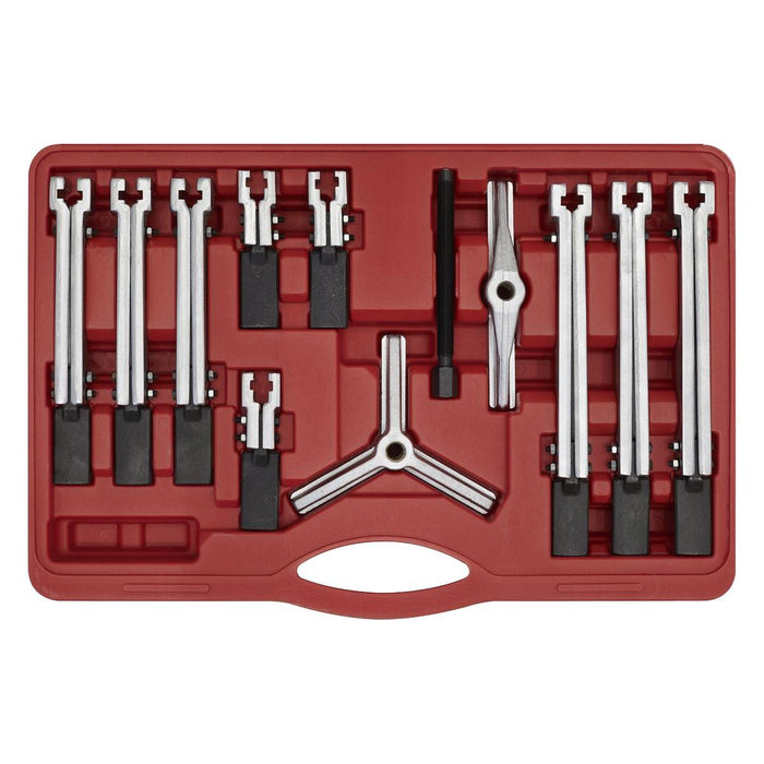 Sealey Bearing & Gear Puller Set 12pc PS900 Sealey - Town Tools 