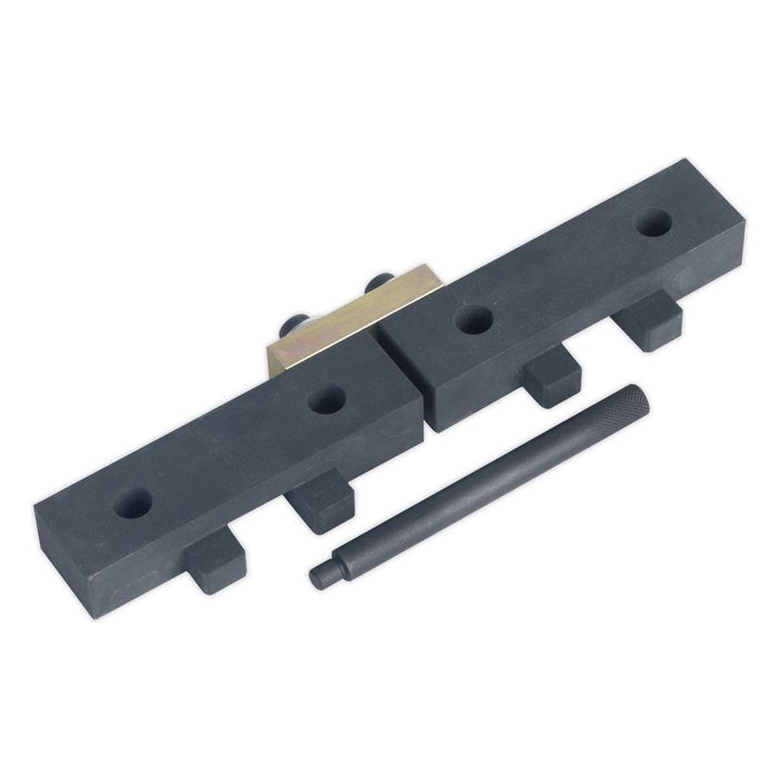 Sealey Petrol Engine Timing Tool Kit for BMW M42/M50/M52/M52TU/M54/M56 Chain Dri Sealey - Town Tools 