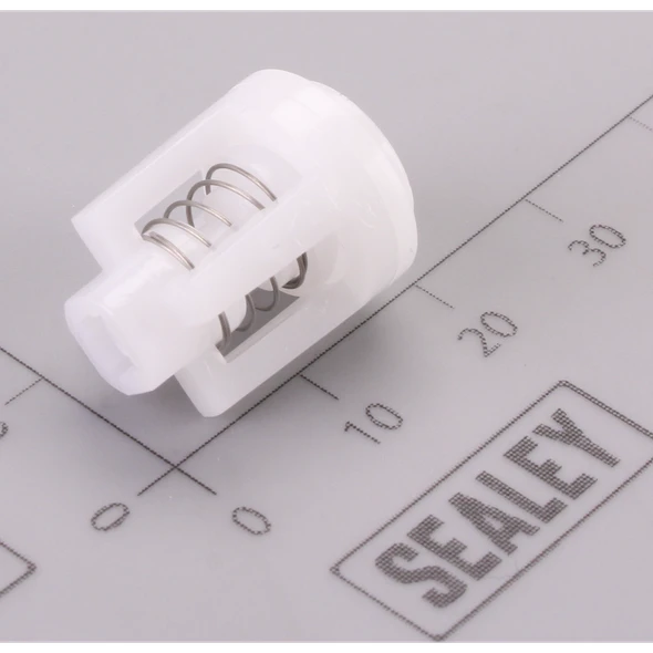 Sealey Outlet Check Valve Assembly